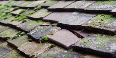 Cheveley roof repair costs